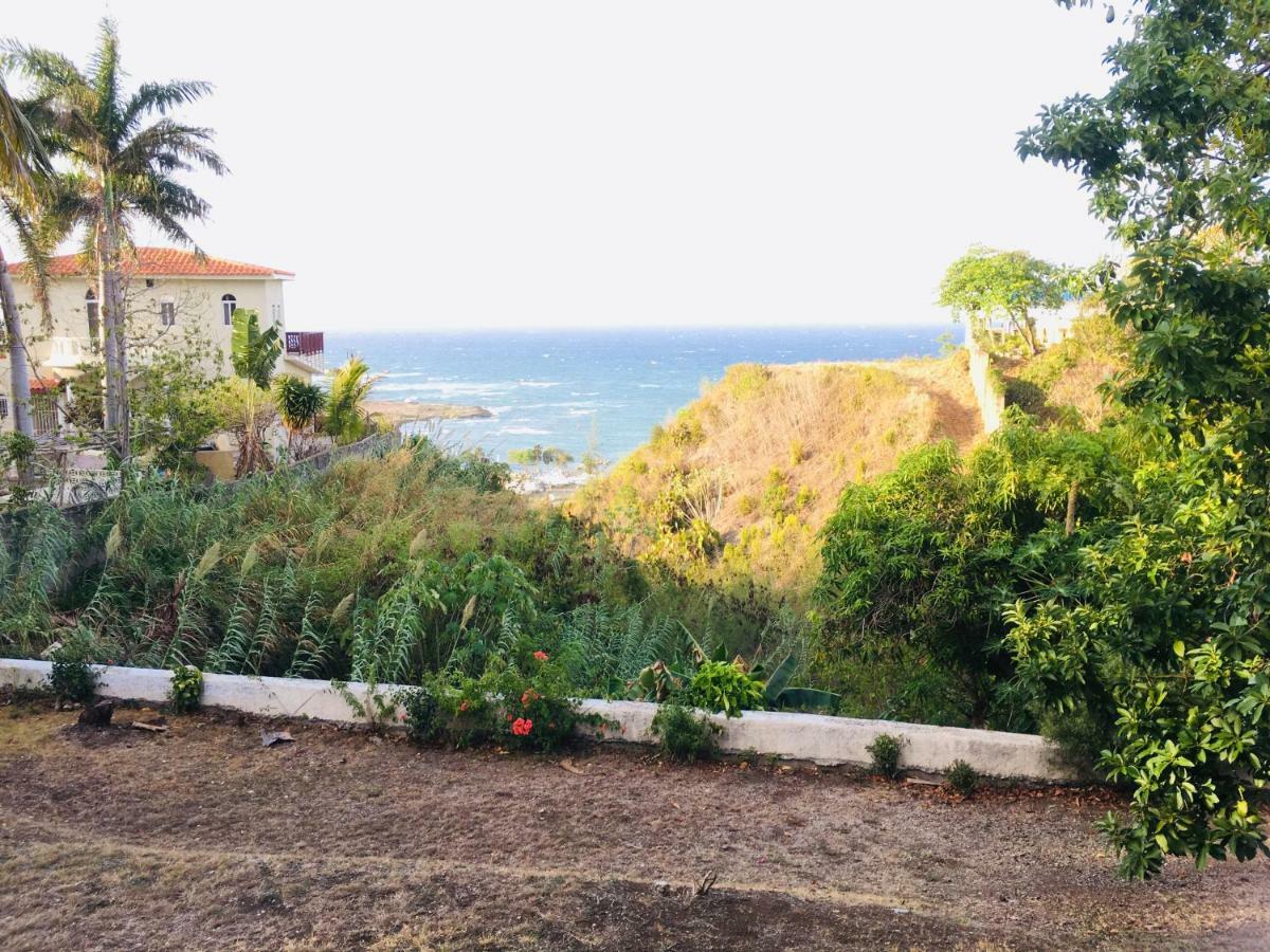 Peaceful Ocean View Studio Hotel Puerto Plata Buitenkant foto